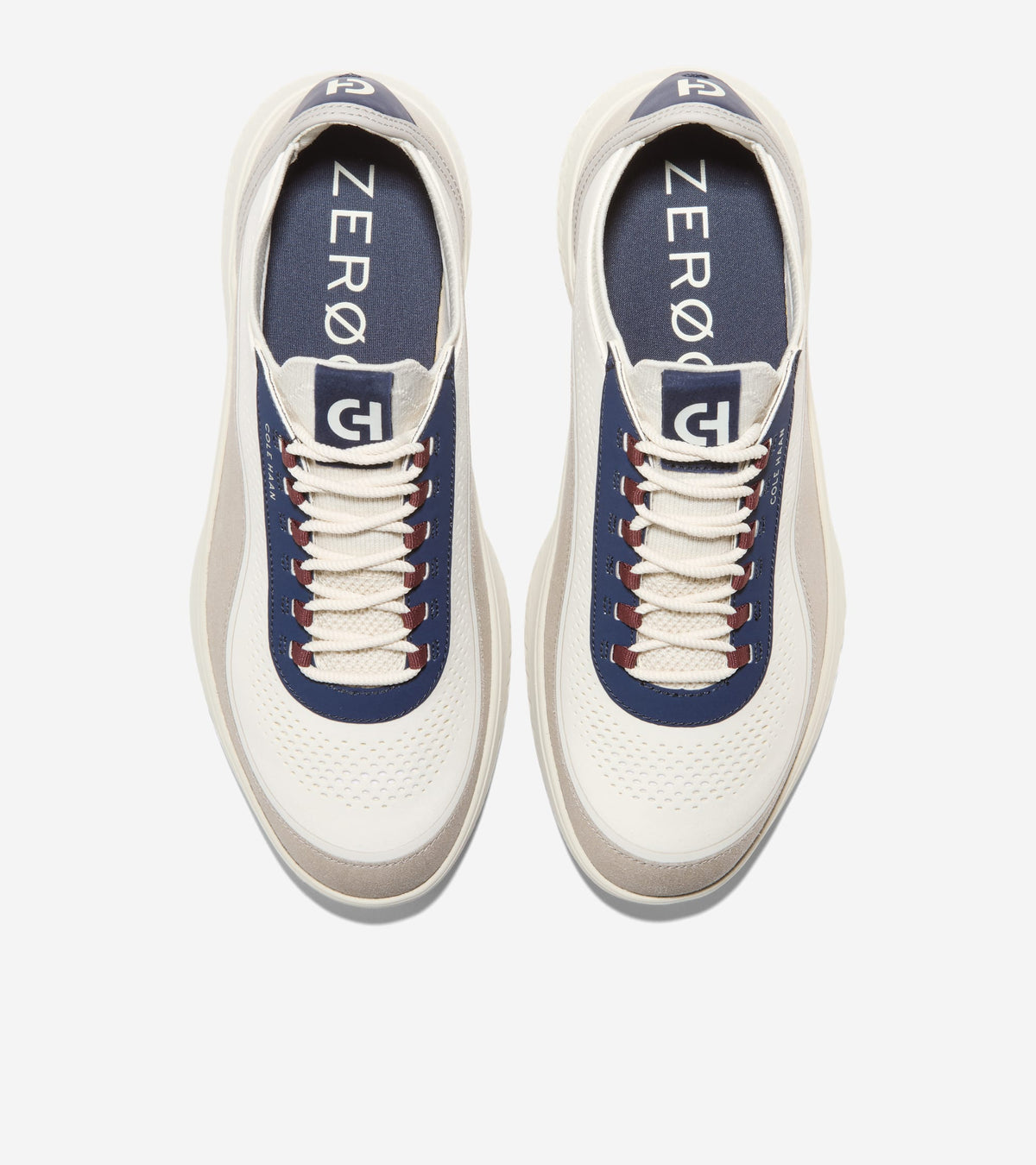 C43170:PALOMA / CH MIDNIGHT MOON / SILVER BIRCH