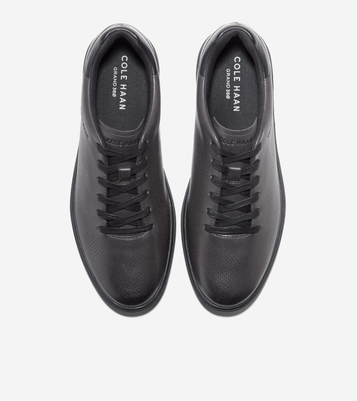 C41349:RAVEN / BLACK / SILVER BIRCH