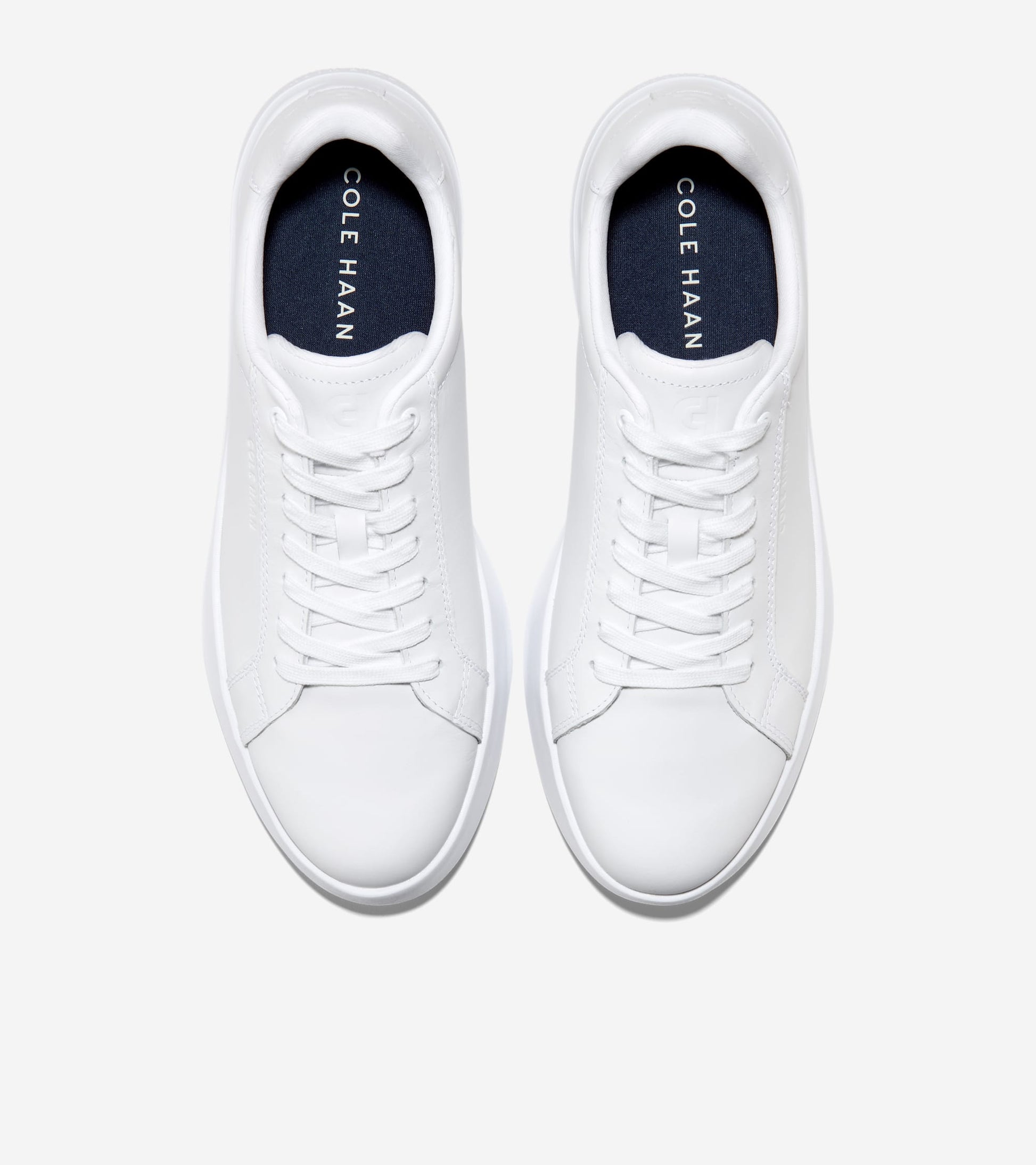 C42806:OPTIC WHITE / OPTIC WHITE
