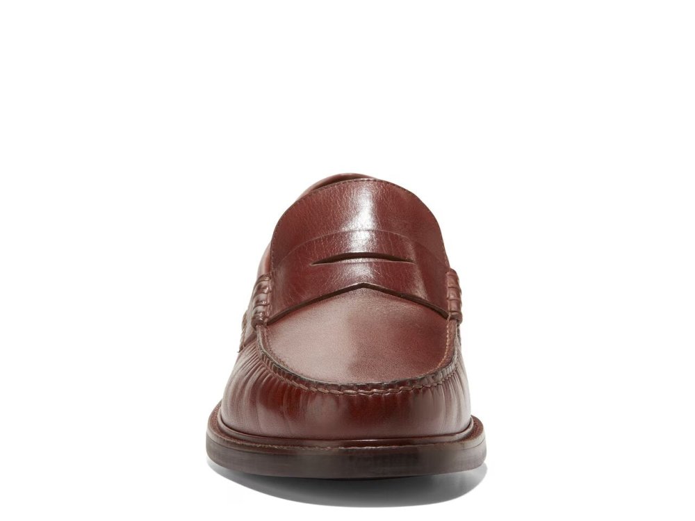 C38554:SCOTCH